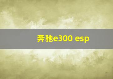 奔驰e300 esp